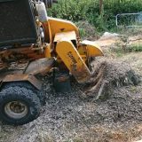 Discover The Benefits Of Professional Tree Stump Removal For Your Property