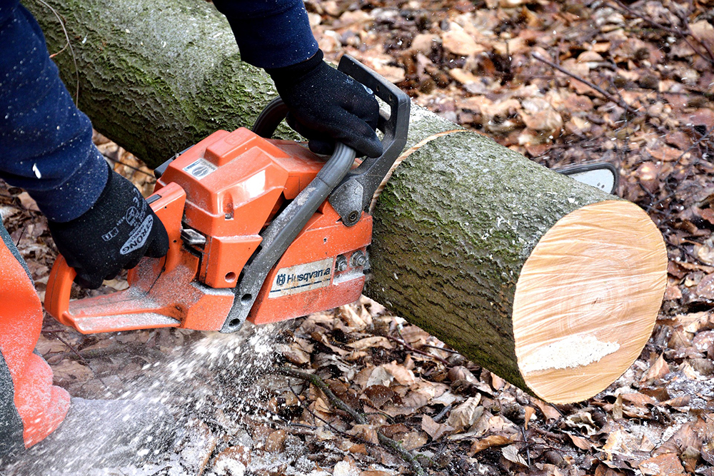 Stump Grinding Manchester